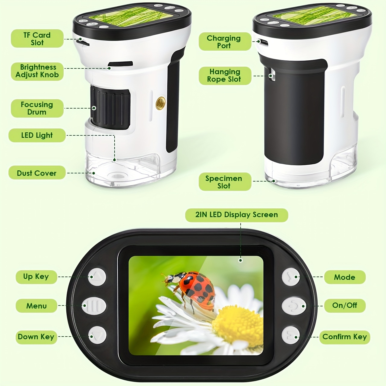 Kit Mikroskop Biologi Anak 100 - Science Max ulasan dan harga